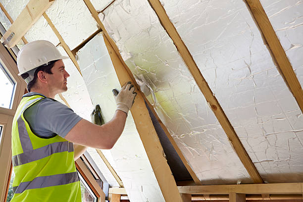 Best Commercial Insulation in Buckhead Ridge, FL
